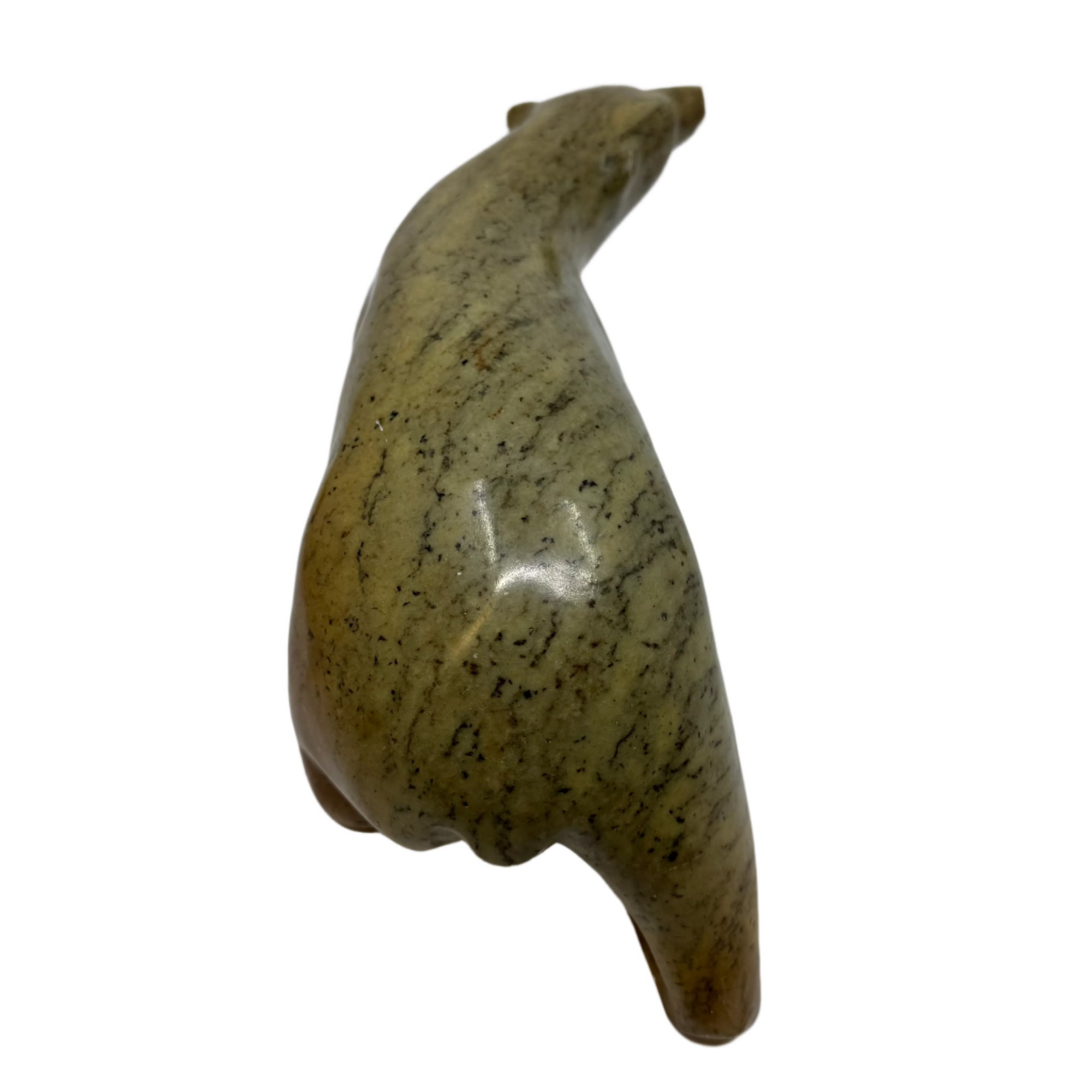 B Nasogaluak Polar Bear -  - Serpentine - House of Himwitsa Art Gallery