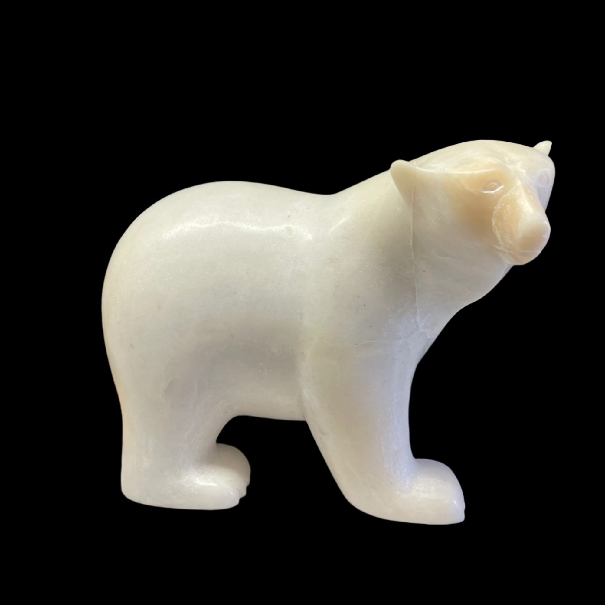 Ashevak Adla Bear -  - Serpentine - House of Himwitsa Art Gallery