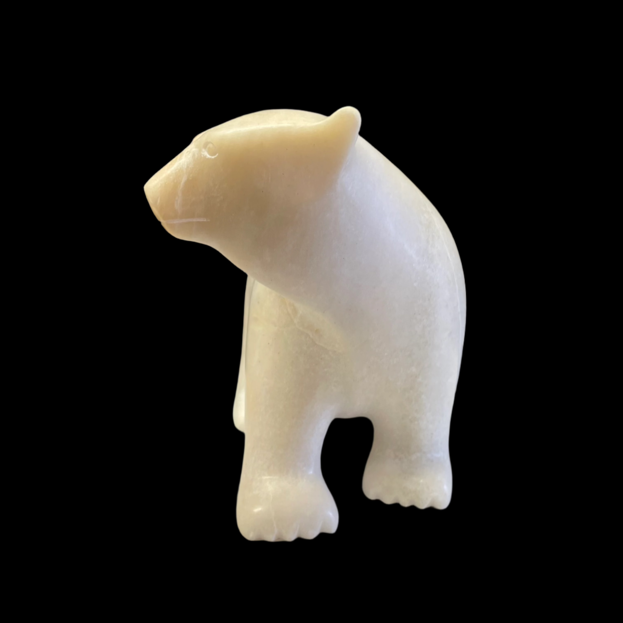 Ashevak Adla Bear -  - Serpentine - House of Himwitsa Art Gallery