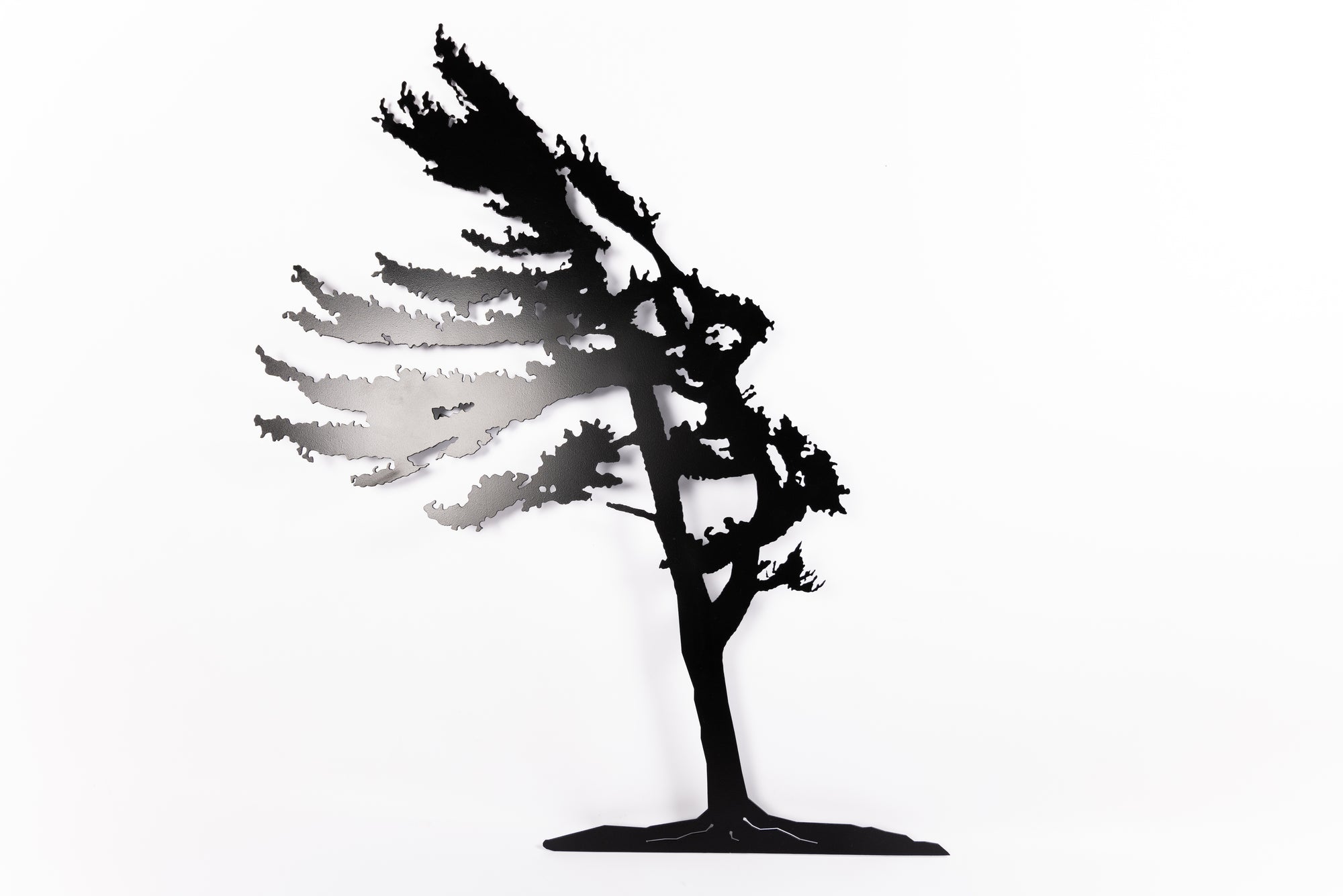 Jack Willoughby Wall Black Windswept Tree - Anvil Island Design Ltd. - Rolled Steel - House of Himwitsa Art Gallery
