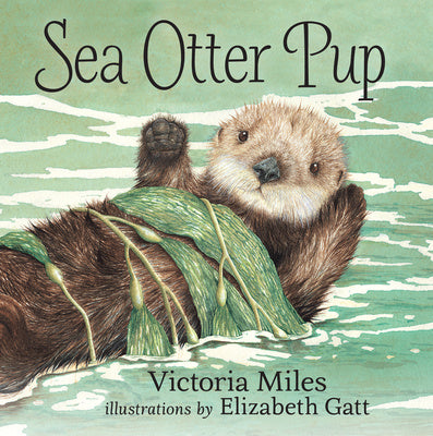 Sea Otter Pup - Board Book - 9781459804678 - House of Himwitsa Native Art Gallery and Gifts