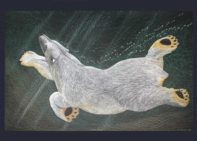 MATTED ART CARDS TIM PITSIULAK - Swimming Bear - POD2164M - House of Himwitsa Native Art Gallery and Gifts