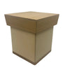 Matt Gong Bentwood Box 9''x 7''x 7''