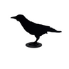 Jack Willoughby Crow Series -  - Rolled Steel - House of Himwitsa Art Gallery