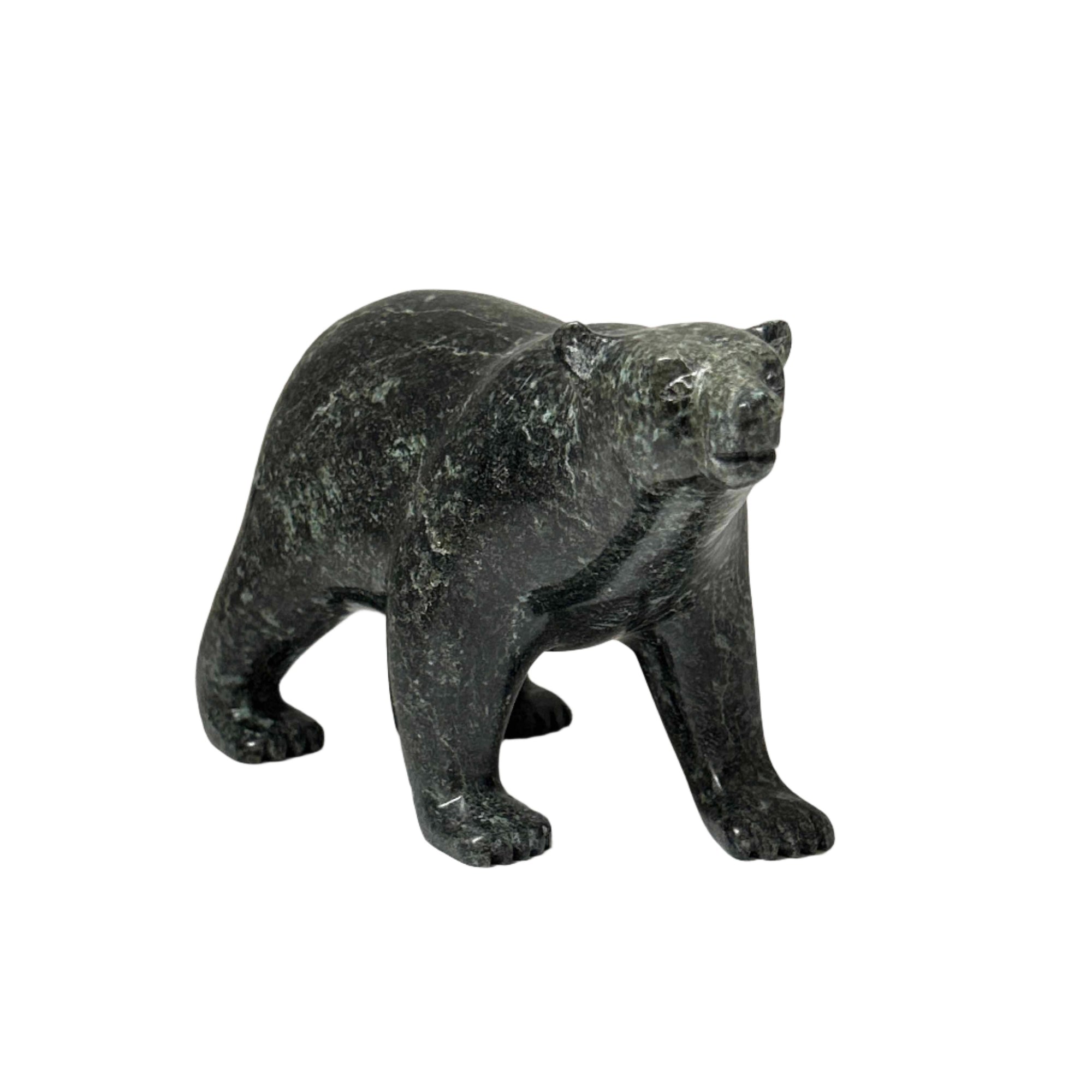 Tim Pee Bear -  - Serpentine - House of Himwitsa Art Gallery