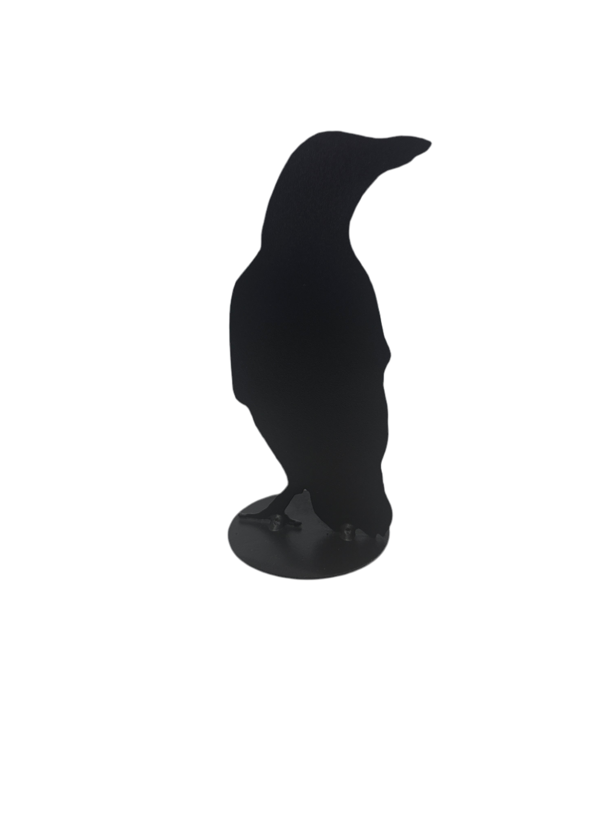 Jack Willoughby Crow Series -  - Rolled Steel - House of Himwitsa Art Gallery
