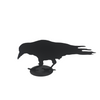 Jack Willoughby Crow Series -  - Rolled Steel - House of Himwitsa Art Gallery