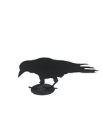 Jack Willoughby Crow Series -  - Rolled Steel - House of Himwitsa Art Gallery