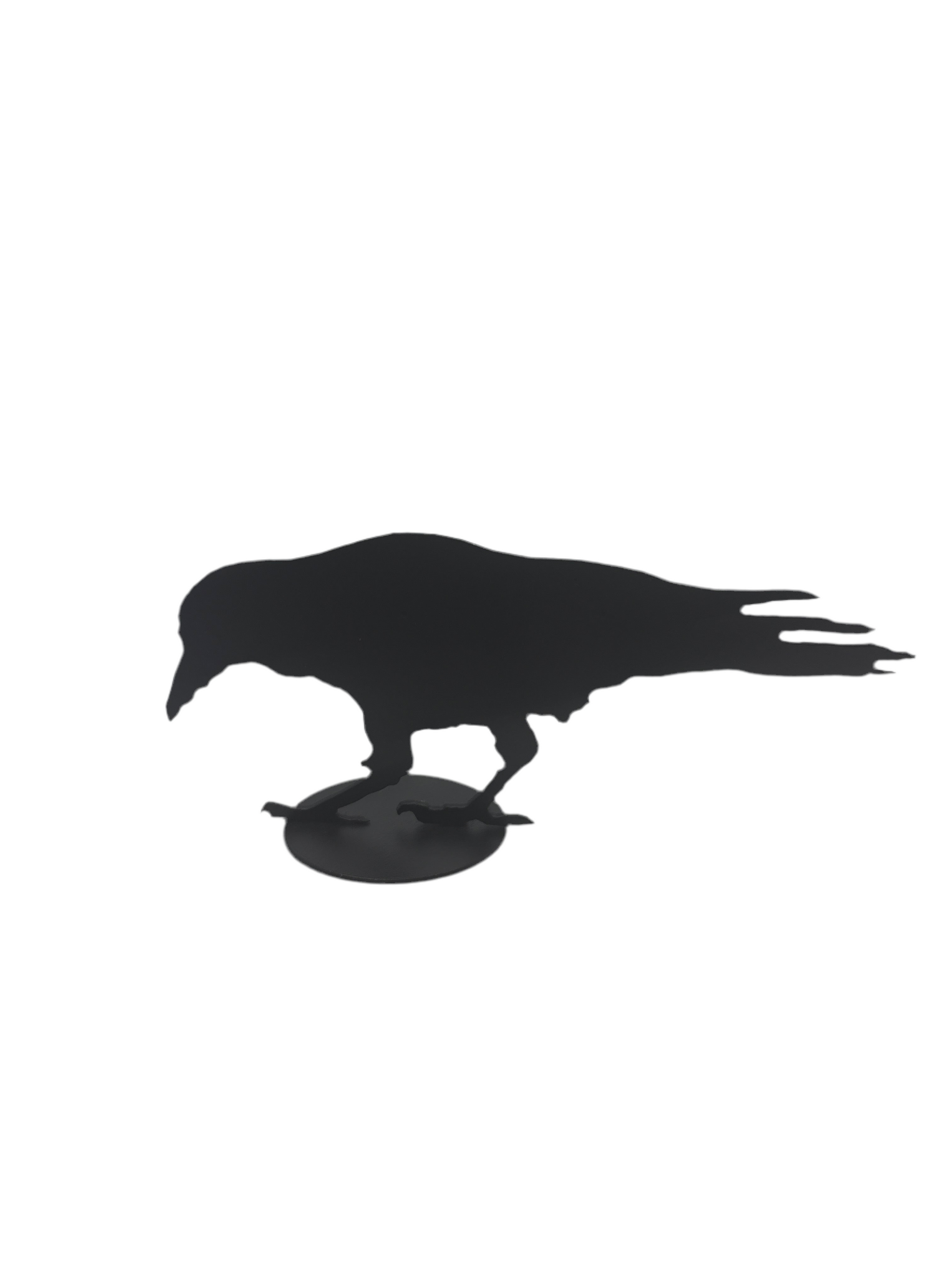 Jack Willoughby Crow Series -  - Rolled Steel - House of Himwitsa Art Gallery