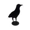 Jack Willoughby Crow Series -  - Rolled Steel - House of Himwitsa Art Gallery