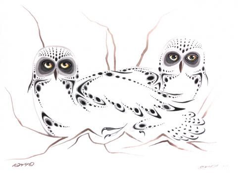 Art Card Ray Baptiste Two Owls - Art Card Ray Baptiste Two Owls -  - House of Himwitsa Native Art Gallery and Gifts