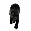 Tim Pee Walking Bear 22880