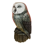 Cyril Henry Soapstone Owl - Upper Canada Native Art Inc - Soapstone - House of Himwitsa Art Gallery