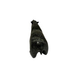Parr Parr Walking Bear 21718