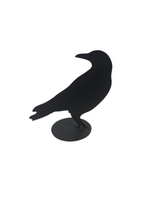Jack Willoughby Crow Series -  - Rolled Steel - House of Himwitsa Art Gallery
