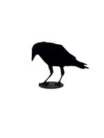 Jack Willoughby Crow Series -  - Rolled Steel - House of Himwitsa Art Gallery