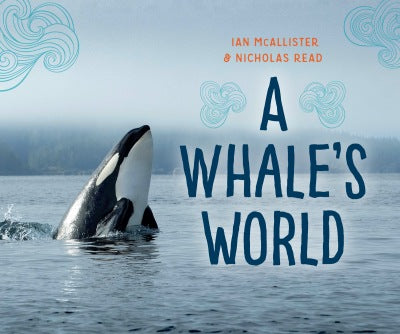 A Whales World - A Whales World -  - House of Himwitsa Native Art Gallery and Gifts