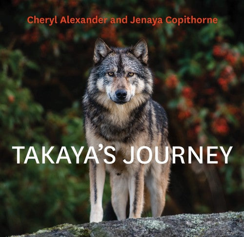 Takaya's Journey - Takaya's Journey -  - House of Himwitsa Native Art Gallery and Gifts