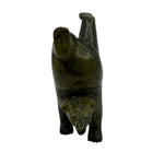 Tim Pee Dancing Bear 22965