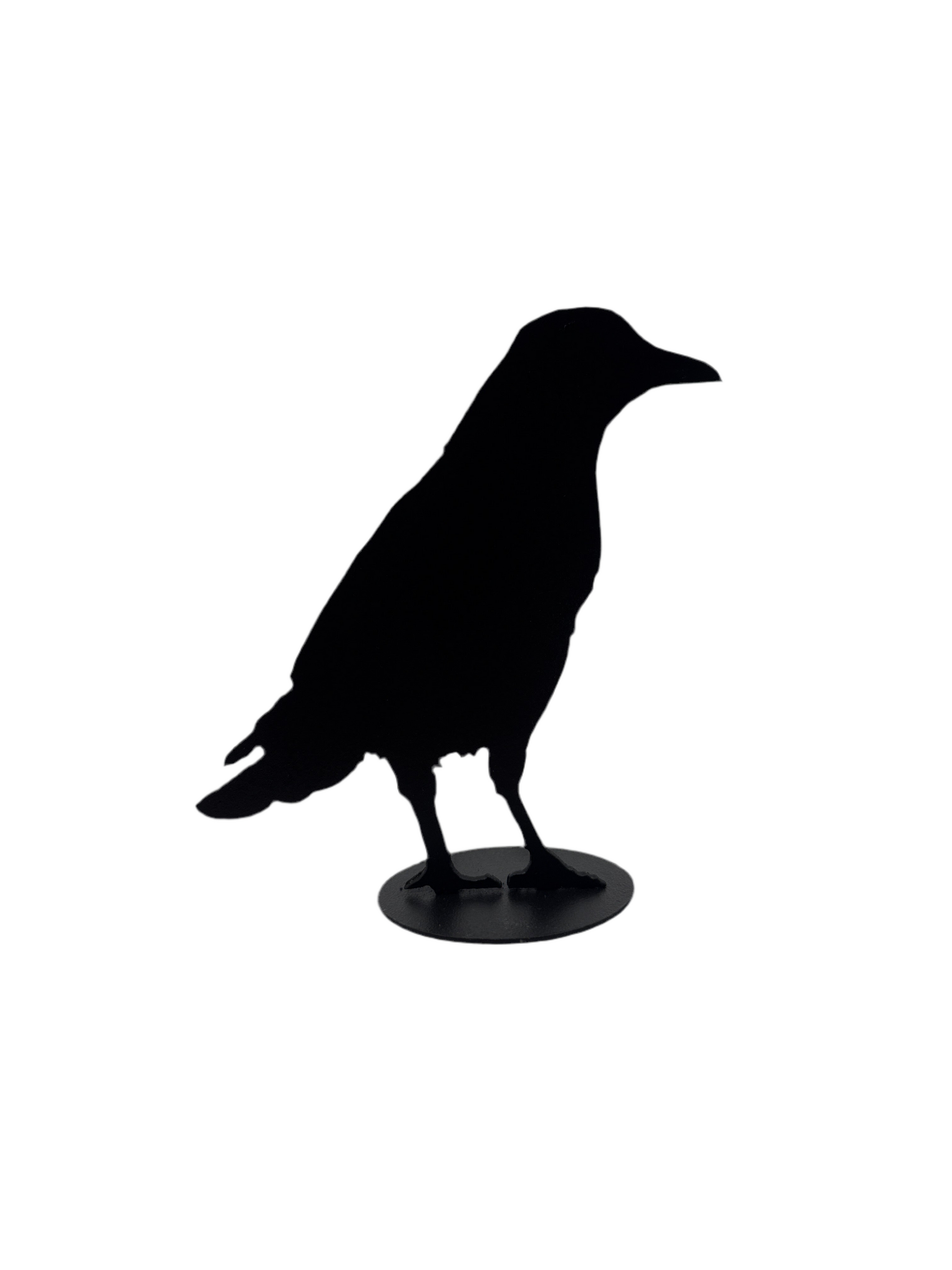 Jack Willoughby Crow Series -  - Rolled Steel - House of Himwitsa Art Gallery