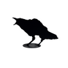 Jack Willoughby Crow Series -  - Rolled Steel - House of Himwitsa Art Gallery