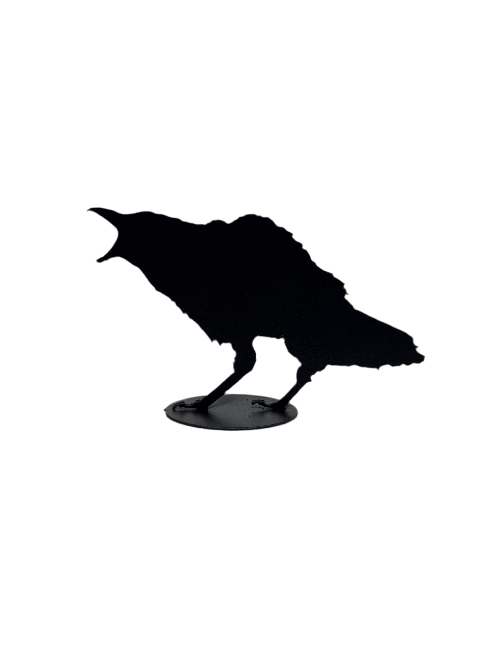Jack Willoughby Crow Series -  - Rolled Steel - House of Himwitsa Art Gallery