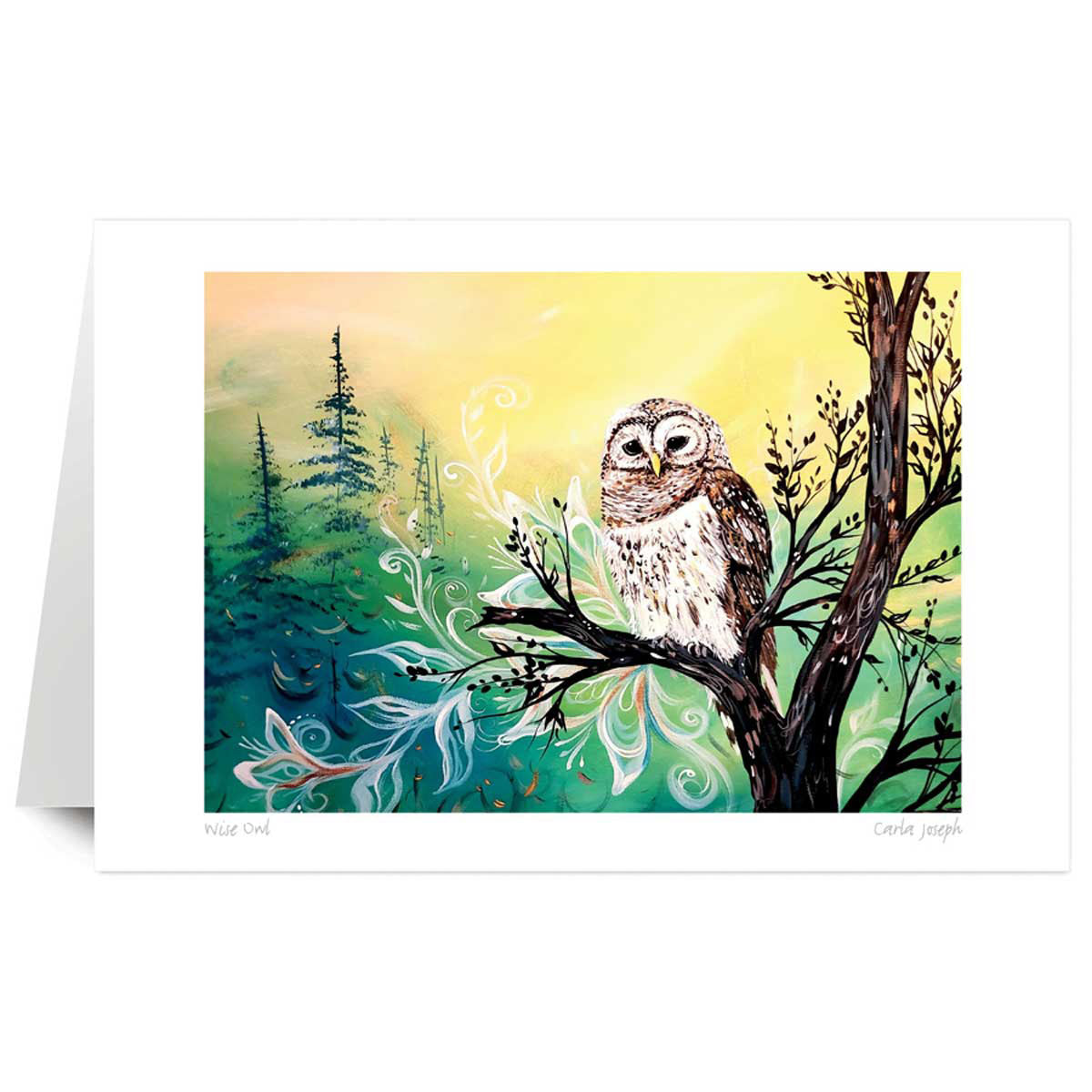Art Card Carla Joseph Wise Owl -  - Art Card - House of Himwitsa Art Gallery