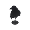 Jack Willoughby Crow Series -  - Rolled Steel - House of Himwitsa Art Gallery