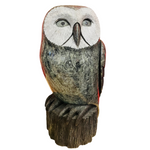 Cyril Henry Soapstone Owl - Upper Canada Native Art Inc - Soapstone - House of Himwitsa Art Gallery