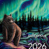 Assorted 2026 Calendars