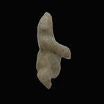 Johnny Papigatuk Dancing Bear 22951