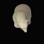 Etidloi Adla Walking Bear 22901
