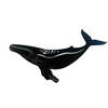 Jack Willoughby 23" Black Humpback