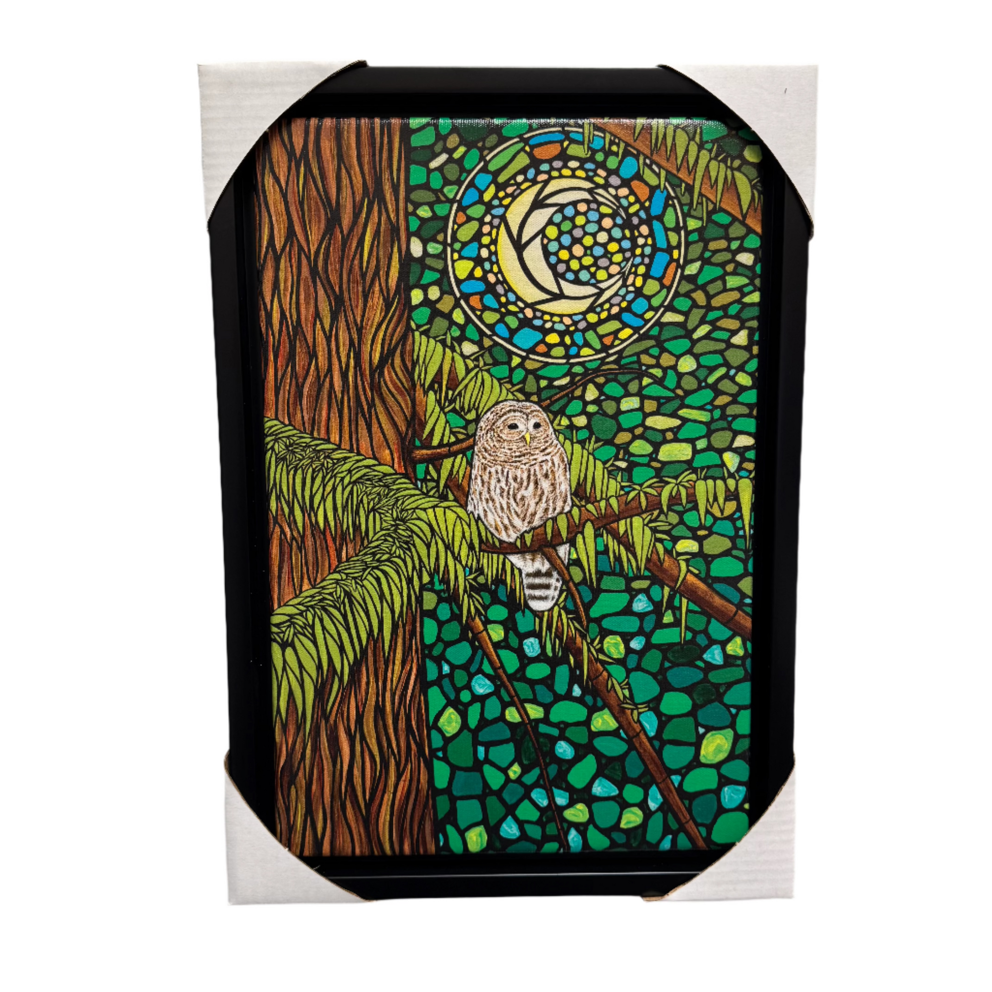 Canvas Shelley Davies Emerald Forest Transformation 12 x 18 -  - Canvas - House of Himwitsa Art Gallery