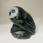 Cyril Henry Soapstone Owl Male -  - Soapstone - House of Himwitsa Art Gallery