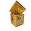 James Michels Bentwood Box Thinking inside the Box -  - Bentwood Box - House of Himwitsa Art Gallery