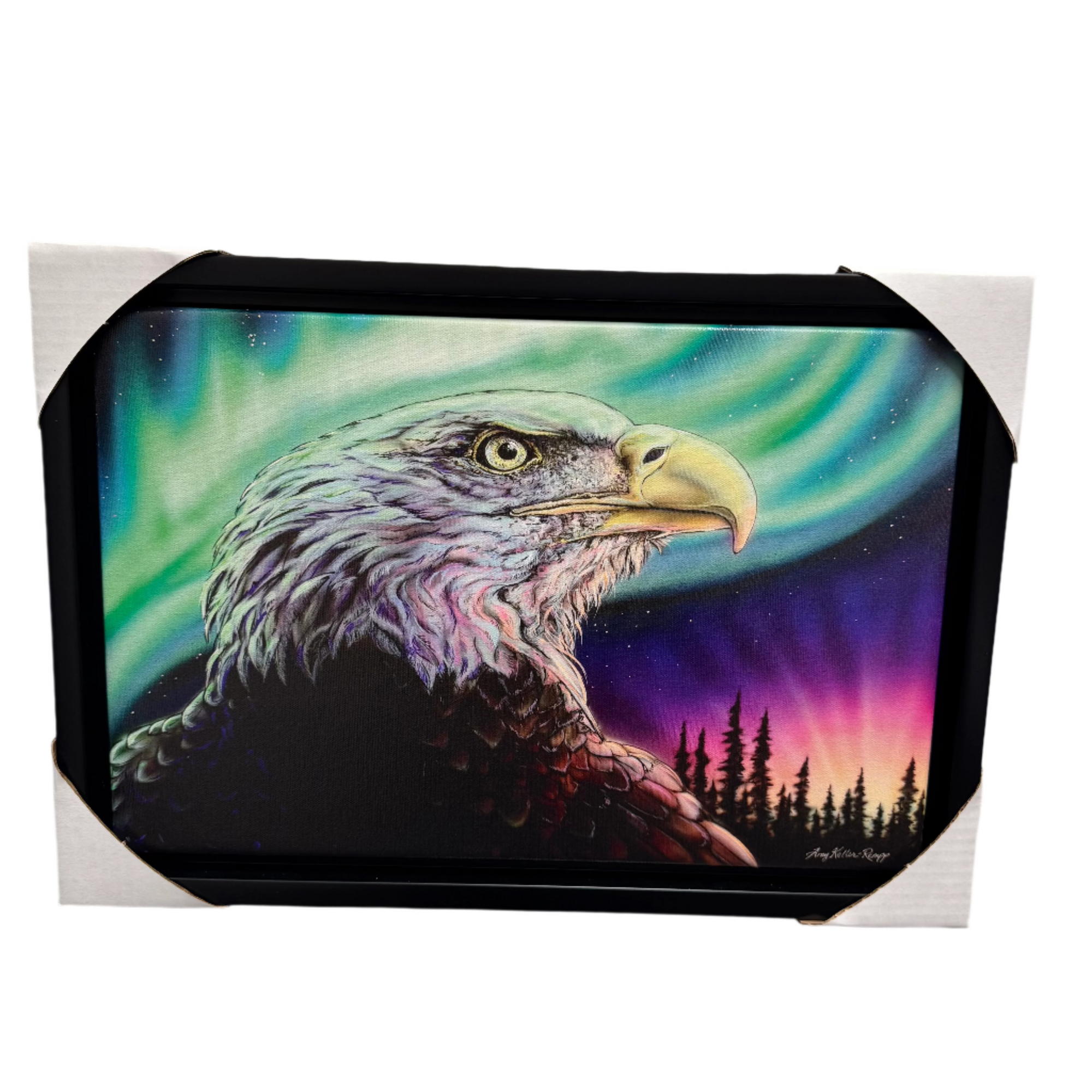 Canvas Amy Keller-Rempp Sky Dance – Sacred Messenger 12 x 18 -  - Canvas - House of Himwitsa Art Gallery
