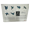 Box Cards Diane Levesque -  - Art Card - House of Himwitsa Art Gallery