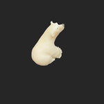 Walrus Ivory Hand Carved Sitting Polar Bear - House Of Himwitsa -  - House of Himwitsa Art Gallery