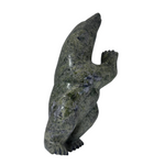 Samonie Shaa Bear 14798
