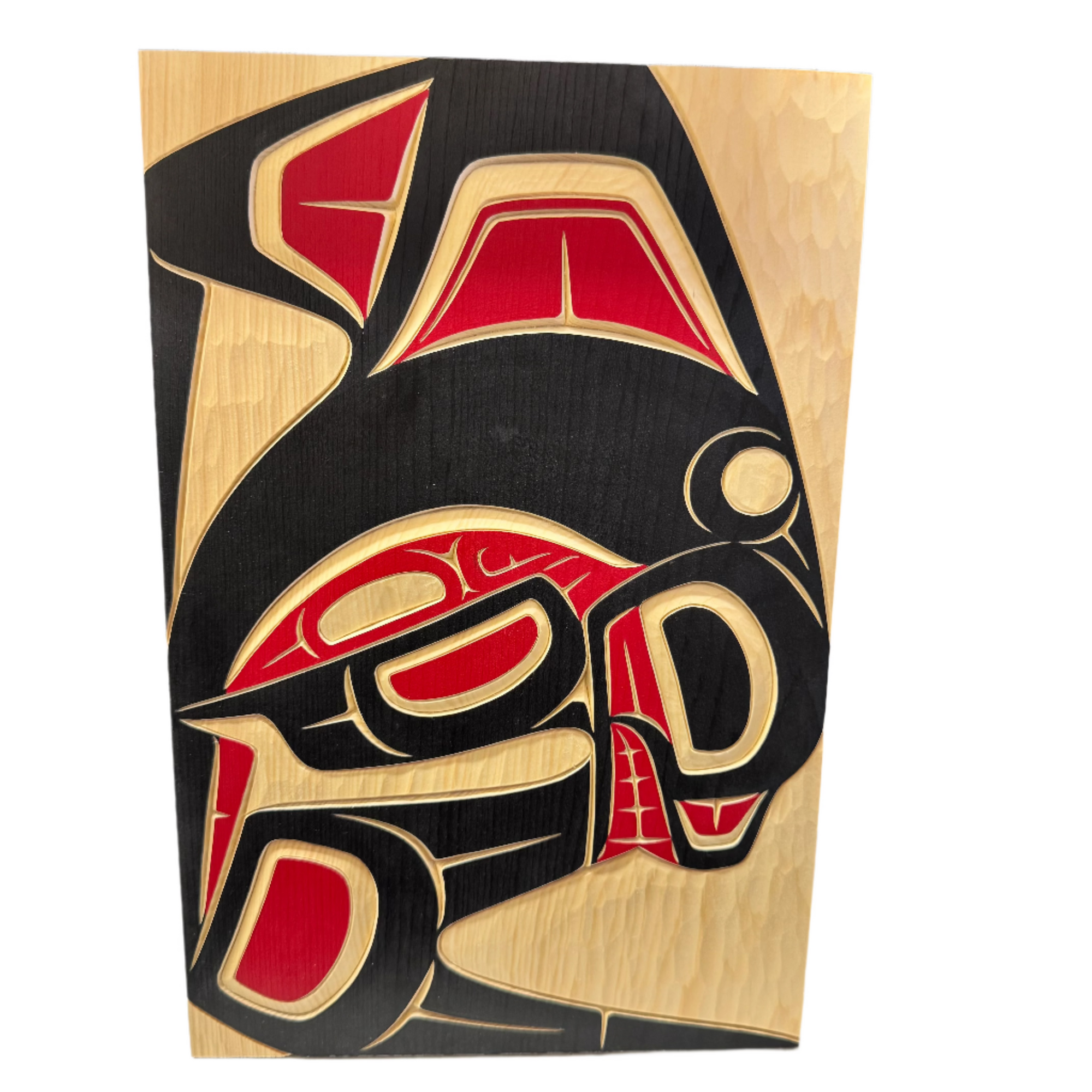 Cecilia Adams 8x12" Panel Killer Whale -  - Panel - House of Himwitsa Art Gallery