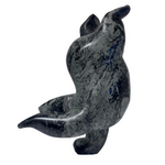 Tim Pee Dancing Bear 22900