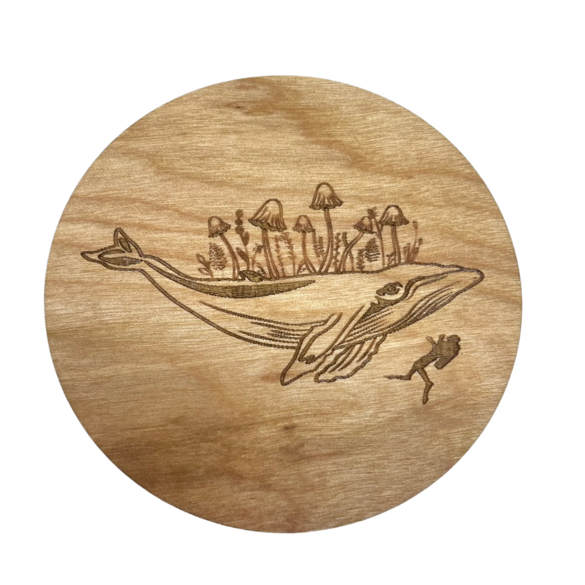 Assorted Engraved Coasters -  - Coasters - House of Himwitsa Art Gallery