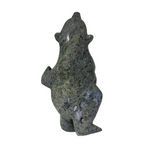 Samonie Shaa Bear 14798