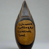 Tom Whonnock Seal Bowl -  -  - House of Himwitsa Art Gallery
