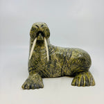 Pits Qimirpik Walrus 4543