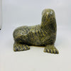Pits Qimirpik Walrus 4543