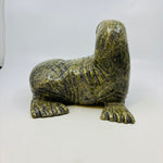 Pits Qimirpik Walrus 4543