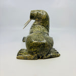 Pits Qimirpik Walrus 4543