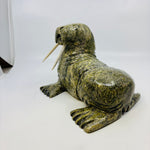 Pits Qimirpik Walrus 4543